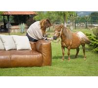 OZLHSP Puzzle 3D 500 Pieces Cheval Animal 52x38cm