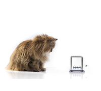 OZLHSP Puzzle 3D Fille 1500 Piece Animaux 87x57cm