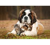 OZLHSP Puzzle 500 Pieces Adultes Chatons Saint-Bernard Chats Saint-Bernard Animaux 52x38cm