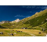 OZLHSP Puzzle 500 Pieces Enfant Vallée des Alpes suisses 52x38cm