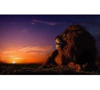 OZLHSP Puzzle 500 Pieces Lions Soleil Animaux 52x38cm