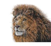 OZLHSP Puzzle 500 Pieces oeuvre d Art Lions Grands Animaux 52x38cm