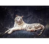 OZLHSP Puzzle Bois Enfant Puzzle 1500 pièces Tigre Grands félins Animal 87x57cm