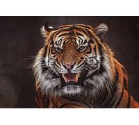 OZLHSP Puzzle Bois Enfant Puzzle 500 pièces Animaux Tigres 52x38cm