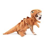 OZLHSP Puzzle garçon 500 Pieces Animaux Dinosaures Chihuahua 52x38cm