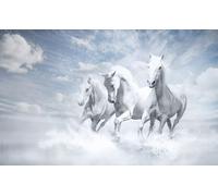 OZLHSP Puzzle Impossible 500 pièces Animaux à Cheval 52x38cm