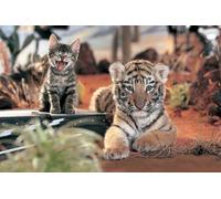 OZLHSP Puzzles 500 pièces Chats Tigres Grands félins 52x38cm