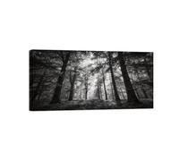 OZPWBVY Noir et Blanc Paysage Tableau Mural-Arbre Forêt 2-Impression sur Toile-Décoration Murale Salon Chambre Intérieur Prête à Accrocher 40x80cm Encadrée