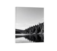 OZPWBVY Noir et Blanc Paysage Tableau Mural-Forêt Lac-Minimaliste Impression sur Toile-Décoration Murale Prête à Accrocher 30x40cm Encadrée