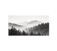OZPWBVY Noir et Blanc Paysage Tableau Mural-Forêt Nuages Fog 3-Minimaliste Impression sur Toile-Décoration Murale Salon 30x60cm Sans Cadre