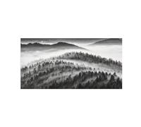 OZPWBVY Noir et Blanc Paysage Tableau Mural-Forêt Nuages Fog-Minimaliste Impression sur Toile-Décoration Murale Salon 30x60cm Sans Cadre