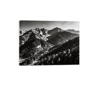 OZPWBVY Noir et Blanc Paysage Tableau Mural-Montagne Forêt-Impression sur Toile-Décoration Murale Salon Chambre Intérieur Prête à Accrocher 40x50cm Encadrée