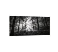 OZPWBVY Noir et Blanc Paysage Tableau Mural-Soleil Forêt 3-Impression sur Toile-Décoration Murale Salon Chambre Intérieur Prête à Accrocher 20x40cm Encadrée