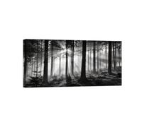 OZPWBVY Noir et Blanc Paysage Tableau Mural-Soleil Forêt arbre-Impression sur Toile-Décoration Murale Salon Chambre Intérieur Prête à Accrocher 20x40cm Encadrée
