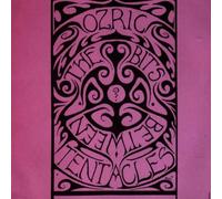 Ozric Tentacles - Bits Between The Bits