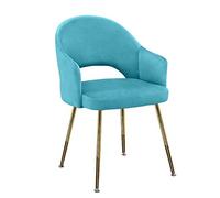 OZSSLJJ Soft Velvet Dining Chair,Make Up Counter Lounge Leisure Living Room Wrought Iron Backrest Chair Reception Chair(Sky Blue)