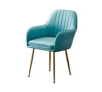 OZSSLJJ Soft Velvet Dining Chair,Make up Nail Art with Backrest Armchair Banquet Hotel Negotiate Balcony Meeting Room Chair(Sky Blue)