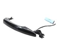 Ozzyr Poignée de porte extérieure gauche voiture, poignées noires extérieures avec clé à capteur pour trou C5 C6