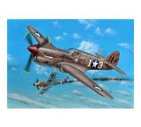 P-40k-1/5 Warhawk - 1:72e - Special Hobby G