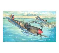 TRUMPETER - Maquette Avion P-40m War Hawk Trumpeter 02211 1/32ème Maquette Char Promo - Ref : 11625