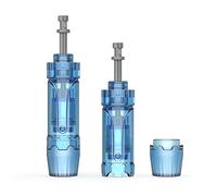 P-Beauty 1 x 12-PIN Microneedling Têtes de rechange pour appareil Dermapen A8S M8S A9 A11 - Traitement intensif des cicatrices et des vergetures - Anti-âge, affinement de la peau - Aiguilles de