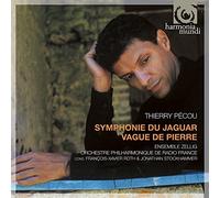 P Cou Thierry - Symphonie Du Jaguar, Vague De Pierr