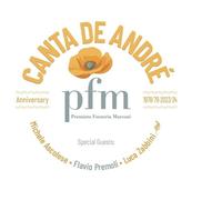 P.F.M. - PFM Canta De Andre Anniversary
