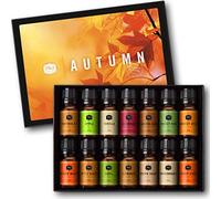 P&J Trading Lot de 14 huiles parfumées d'automne pour la fabrication de bougies, la fabrication de savons, diffuseur d'huile pour la maison