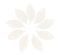 P Prettyia 50pcs Magnolia Naturelle Squelette Feuilles pour Carte Scrapbook Bougie Mariage Décor DIY - Blanc
