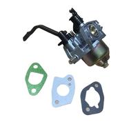 P19 P19-1 CARBURATEUR Compatible avec Les Pièces De Générateurs À Essence De 2 À 3 KW