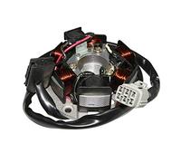 Stator allumage 50 a boite adaptable cpi 50 sm, sx (r.o. 51a-21130-20-00) (avec platine) -p2r- n/a