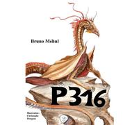 P316 Évolution
