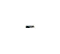 P34A60 - SSD - 256 Go - interne - M.2 2280 - PCIe 3.0 x4 (NVMe)