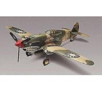 P40b Tiger Shark 1:48 Plastique Model Kit Monogram