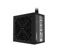 GIGABYTE P450B unité d'alimentation d'énergie 450 W 20+4 pin ATX ATX Noir