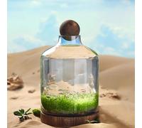 PA-DABAOO Aquarium en Verre avec Support Et Boule en Bois, Bocal À Poissons Transparent en Forme De Bouteille, Paysage Microécologique, Décoration De Bureau pour La Maison,48 * 27cm