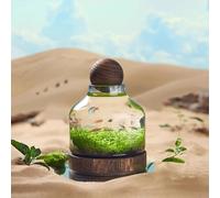 PA-DABAOO Aquarium en Verre avec Support Et Boule en Bois, Bocal À Poissons Transparent en Forme De Bouteille, Paysage Microécologique, Décoration De Bureau pour La Maison,24 * 17cm