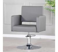 PA-DABAOO Fauteuil De Coiffure Moderne Avec Pompe Hydraulique, Pivotant À 360°, Multifonction, Hauteur Réglable, Pour Salon De Coiffure, Spa Et Maison,Gris