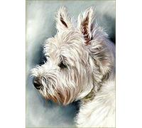 PAAANING Kits de peinture par numéros Westie pour tous âges, Peinture à l'huile, Contemporain, Blanc, Animal, Taille unique, Toutes saisons