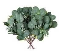 Paaruter 20 PièCes Artificielles Argent Dollar Tiges Soie Eucalyptus Feuilles Faux Eucalyptus Branches Brins