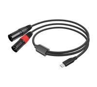 Paaruter Câble Audio Stéréo USB Type C Mâle vers 2 XLR Mâles 32 Bits/384 KHz pour Smartphones et Ordinateurs Portables 1 Mètre