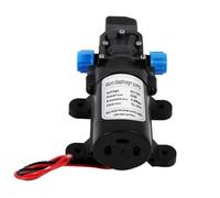 Paaruter DC 12V 60W 120PSI 5L/MIN Pompe à Eau Électrique Agricole Noir Mini Pulvérisateur D'Eau à Diaphragme Lavage de Voiture