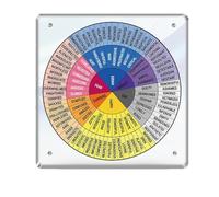 Paaruter Roue des Sentiments et des Besoins en Acrylique, Outil de Santé Mentale pour, le Bureau et L'École.