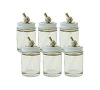 Paasche VL-1-OZ-6P Flacon de Peinture aérographe en Verre de 28,3 g, Claire, 1oz, Set de 6 Pièces