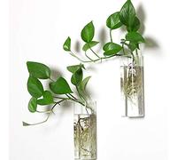 Pacdona Lot de 2 pots muraux en verre à suspendre - Forme rectangulaire pour plantes, plantes aériennes, plantes succulentes, fleurs, vase mural en verre pour plantes, décoration et présentoir