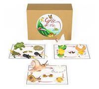PACHA ECHECS® - Cycle de Vie d’Animaux - Matériel Éducatif Montessori pour Apprendre l’évolution | Outil pédagogique | Anatomie | Biologie - Figurines réalistes | Croissance