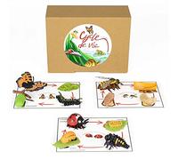 PACHA ECHECS® - Cycle de Vie d’Insectes - Matériel Éducatif Montessori pour Apprendre l’évolution | Outil pédagogique | Anatomie | Biologie - Figurines réalistes | Simulation de la Croissance