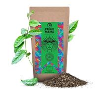 Pachamama Guayusa Thé Pure 500g - Guayusa Bio de l'Equateur, Sœur du Thé Yerba Mate, Alternative au Café, Sans Additifs