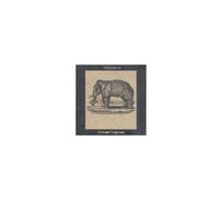 Pachyderm