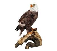 Pacific Giftware Figurine d'aigle à tête Blanche - Statue décorative - Oiseau de Proie américain